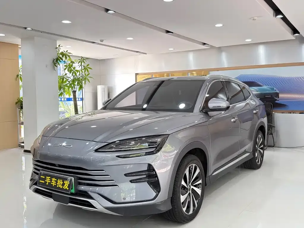 BYD PLUS New Energy — фото 1