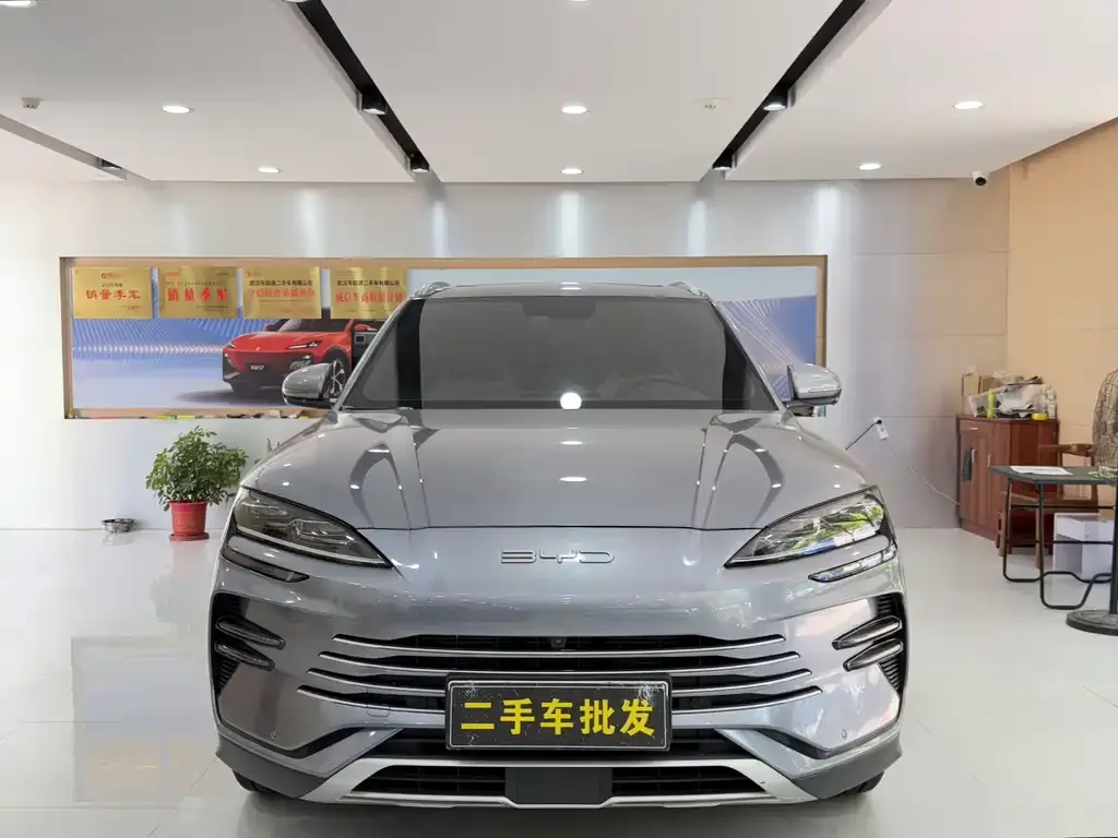BYD PLUS New Energy — фото 9