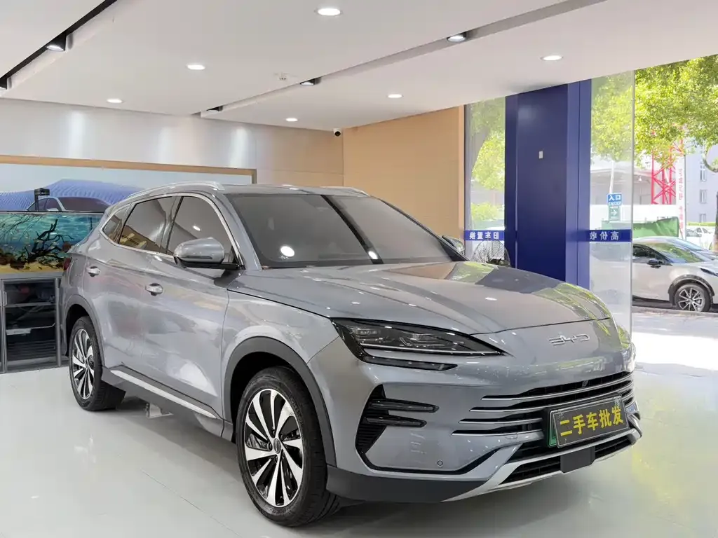 BYD PLUS New Energy — фото 4