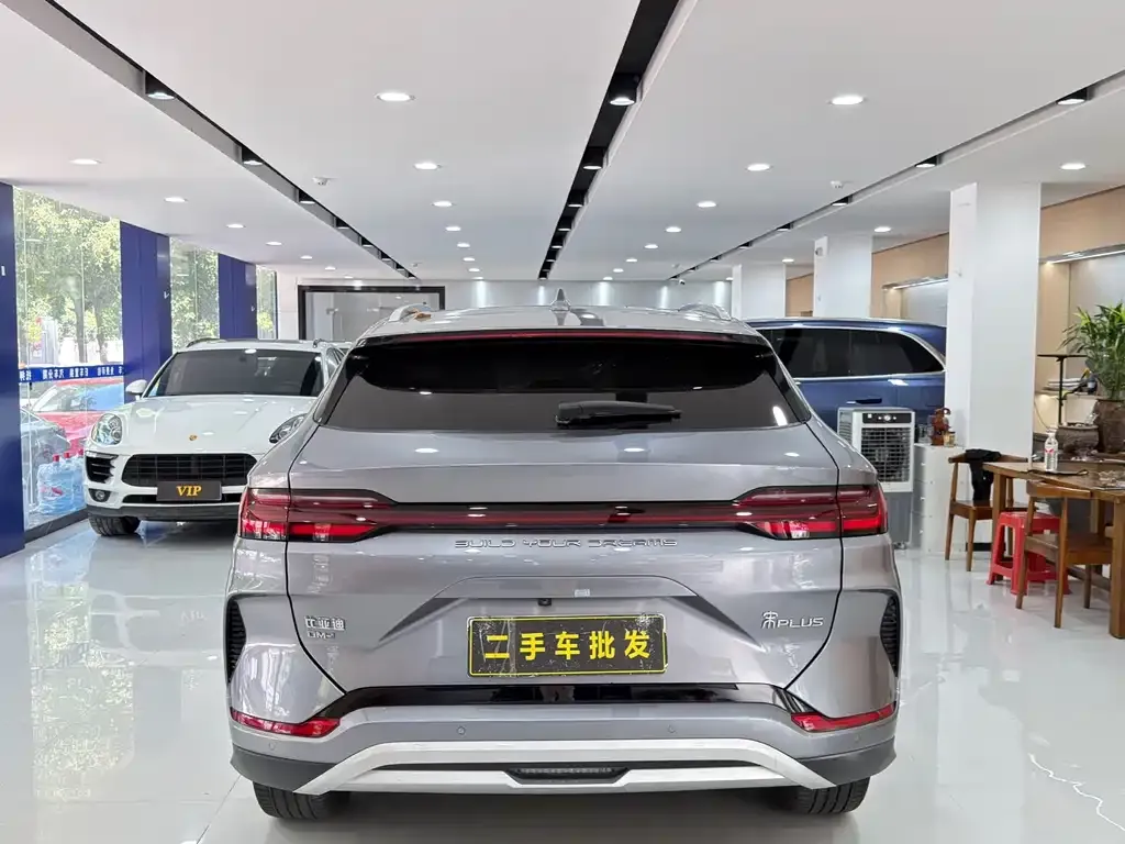BYD PLUS New Energy — фото 7