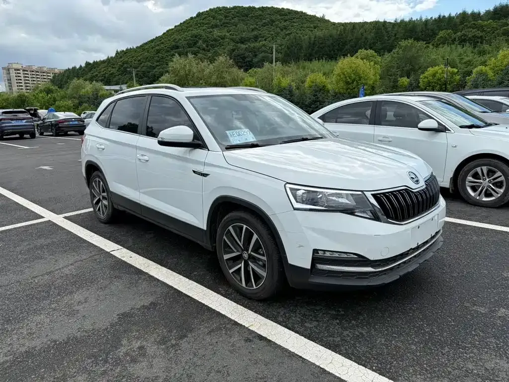 Skoda Kamiq — фото 8
