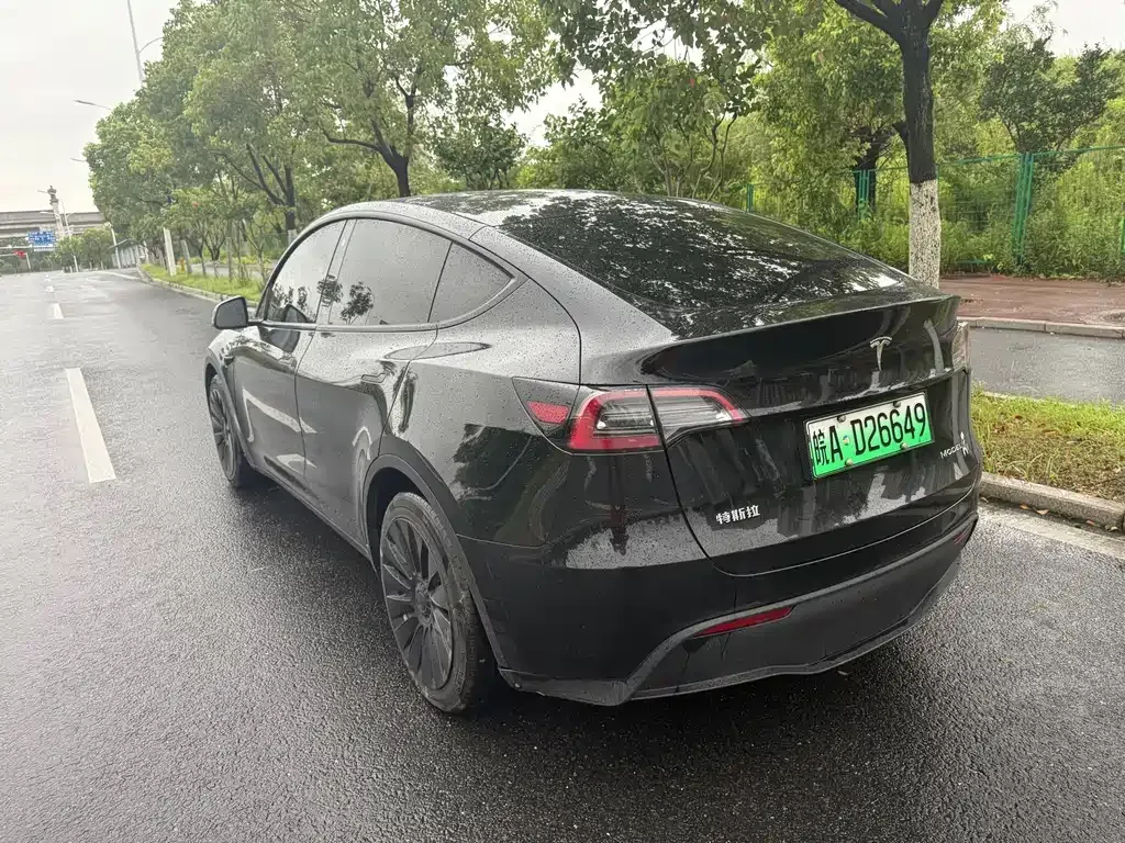 Tesla Model Y — фото 6