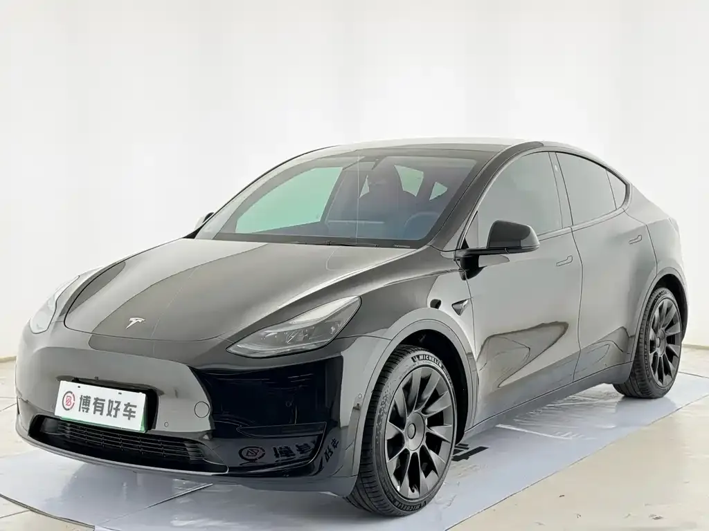 Tesla Model Y — фото 1