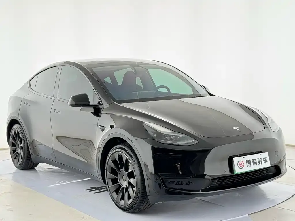 Tesla Model Y — фото 9