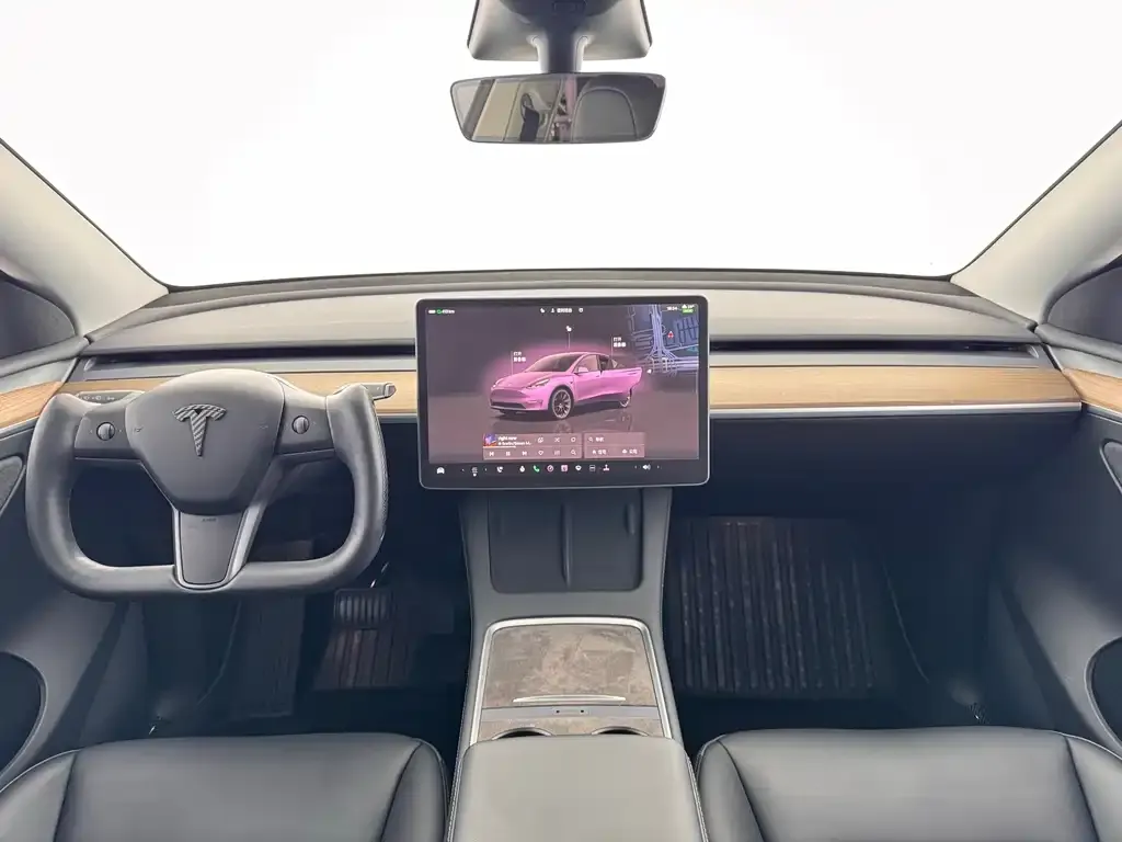 Tesla Model Y — фото 6