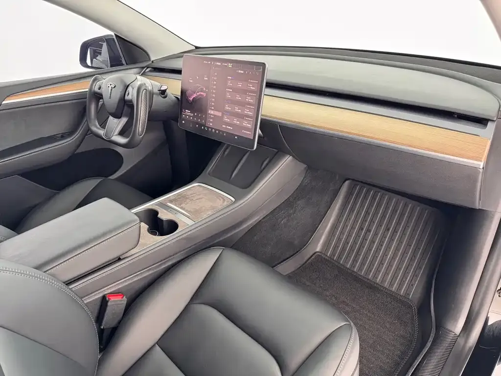 Tesla Model Y — фото 10