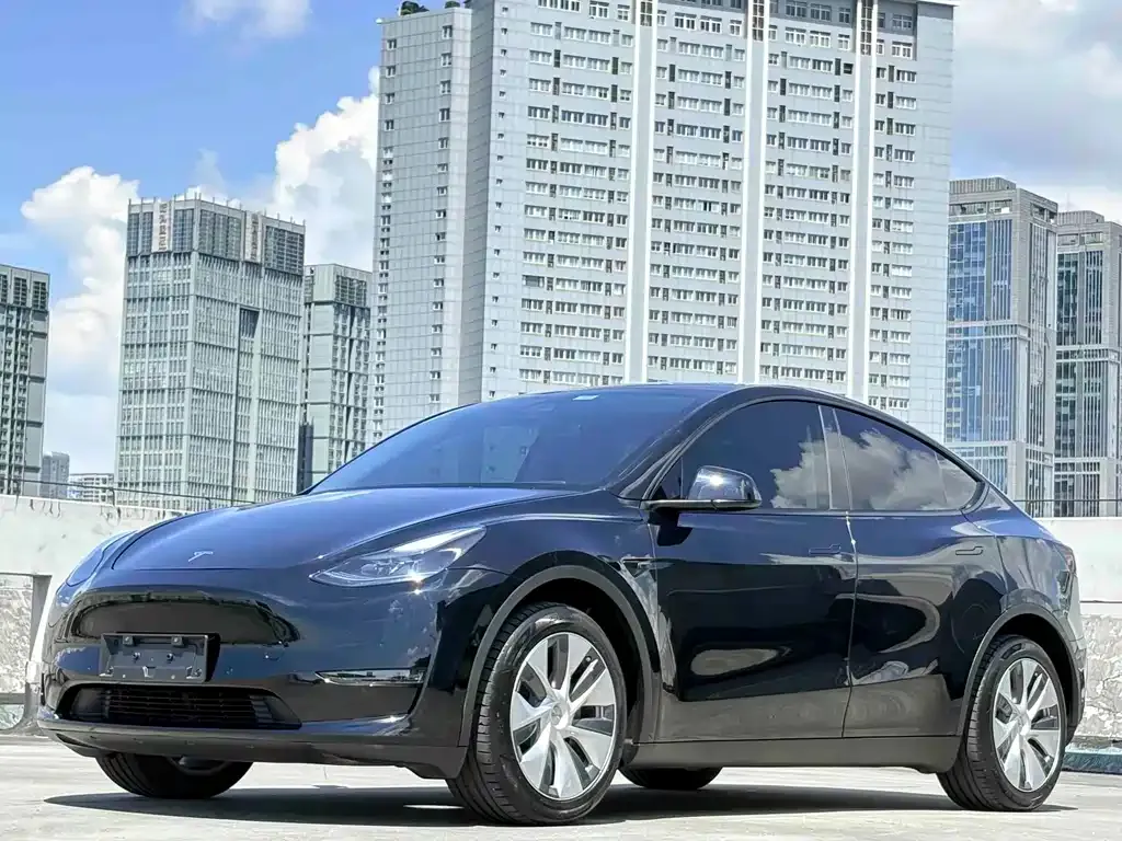Tesla Model Y — фото 1