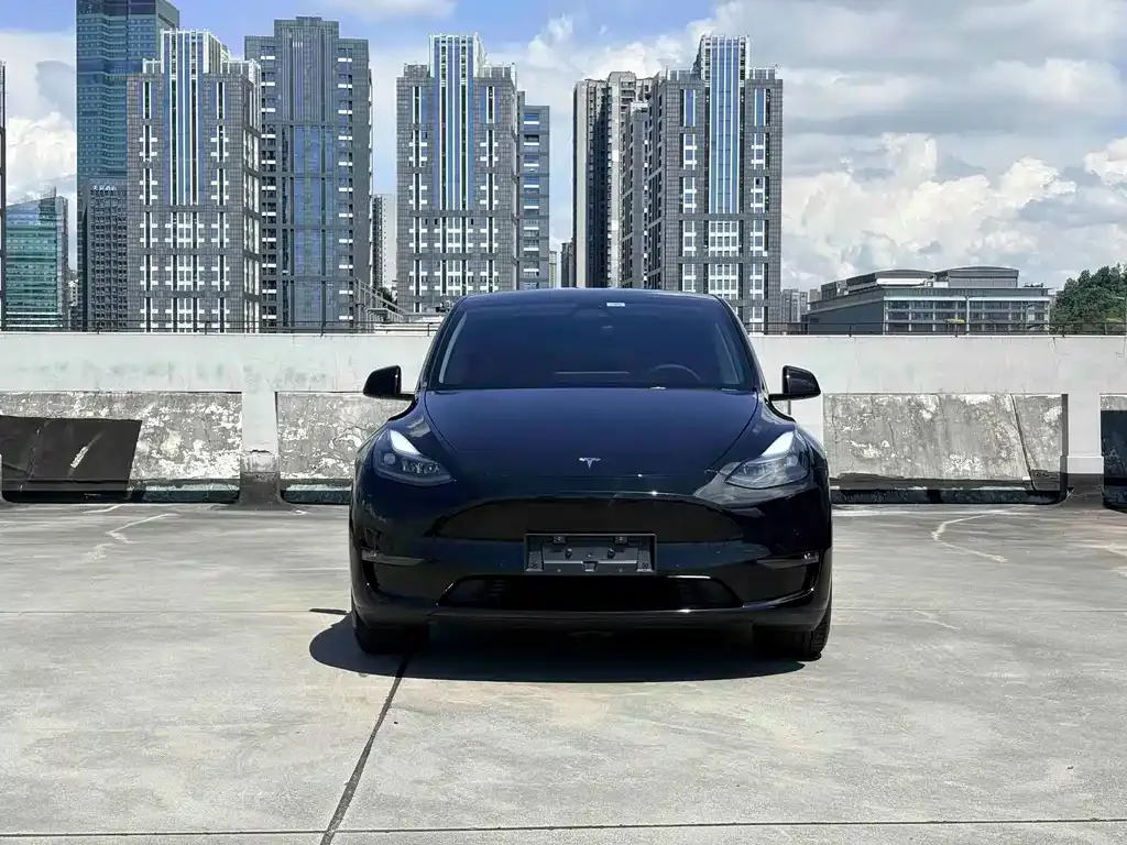 Tesla Model Y — фото 8
