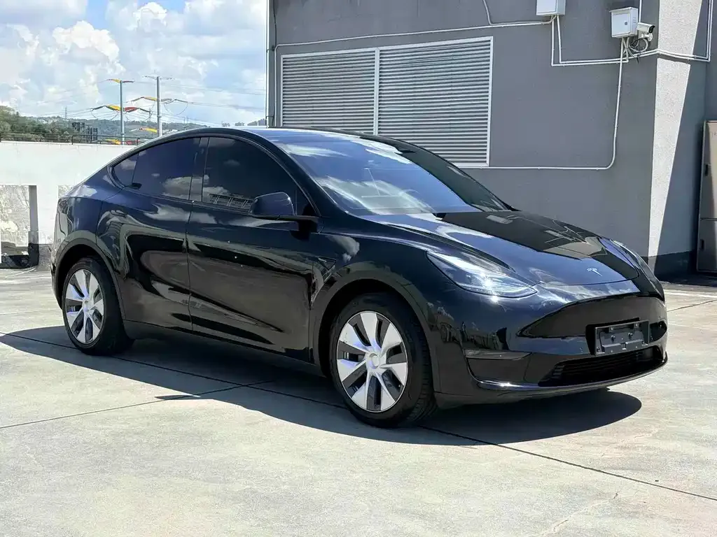Tesla Model Y — фото 5