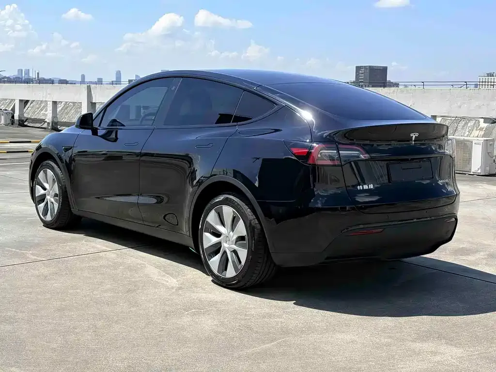 Tesla Model Y — фото 4
