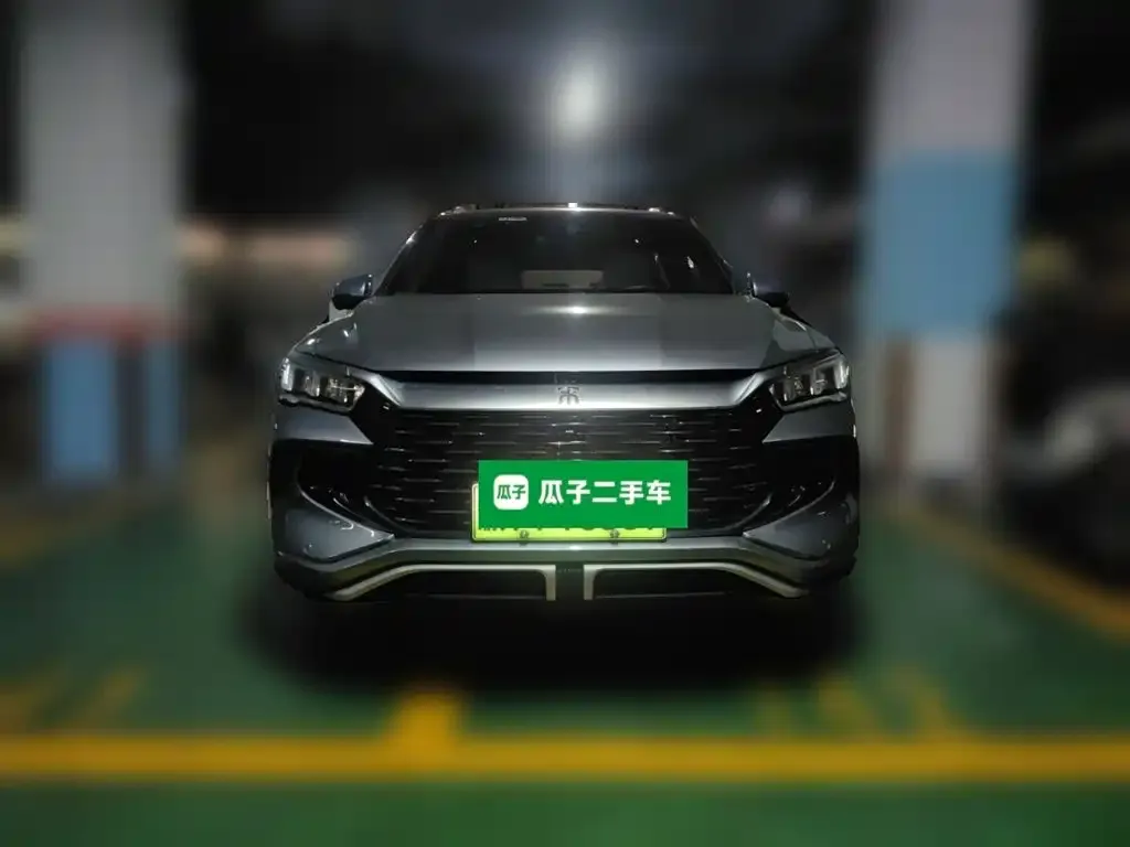 BYD Pro New Energy — фото 3