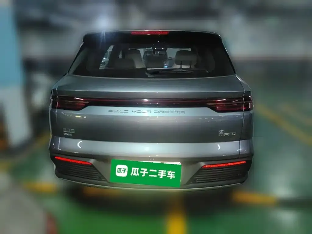 BYD Pro New Energy — фото 8