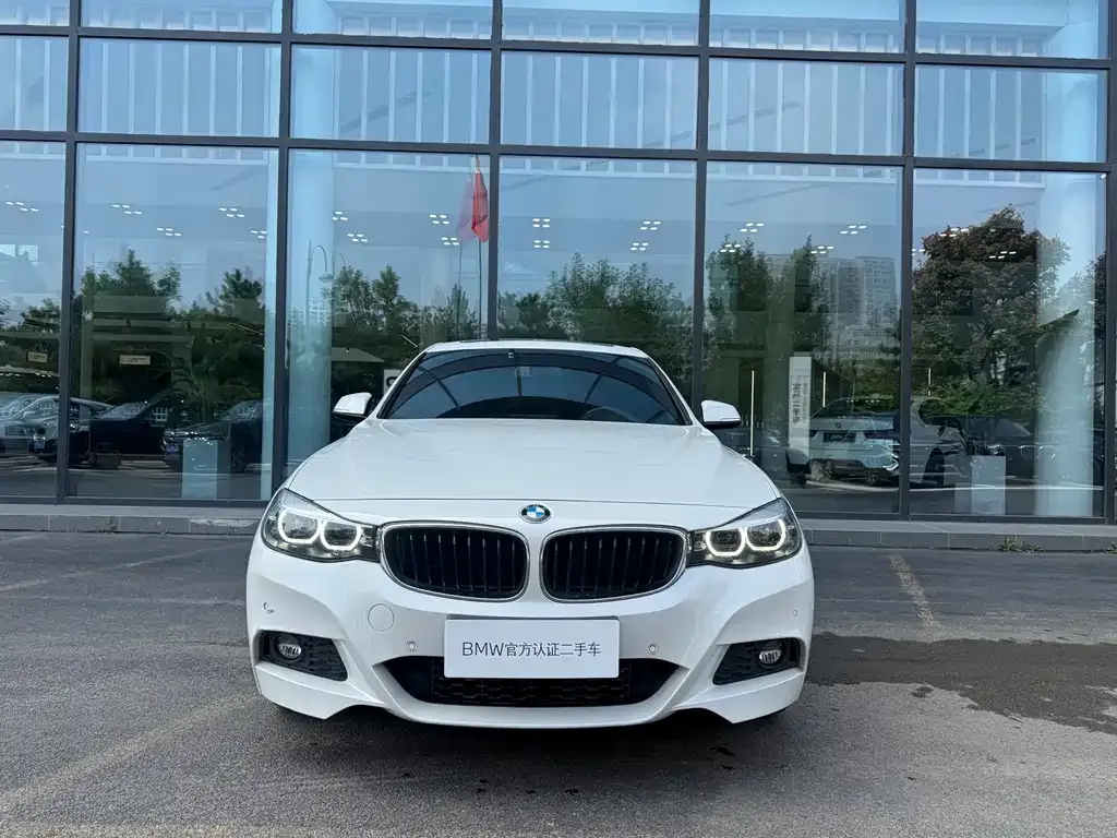 BMW 3 Series GT — фото 6