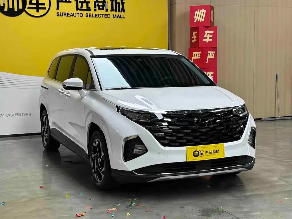 Hyundai Custo — фото 7