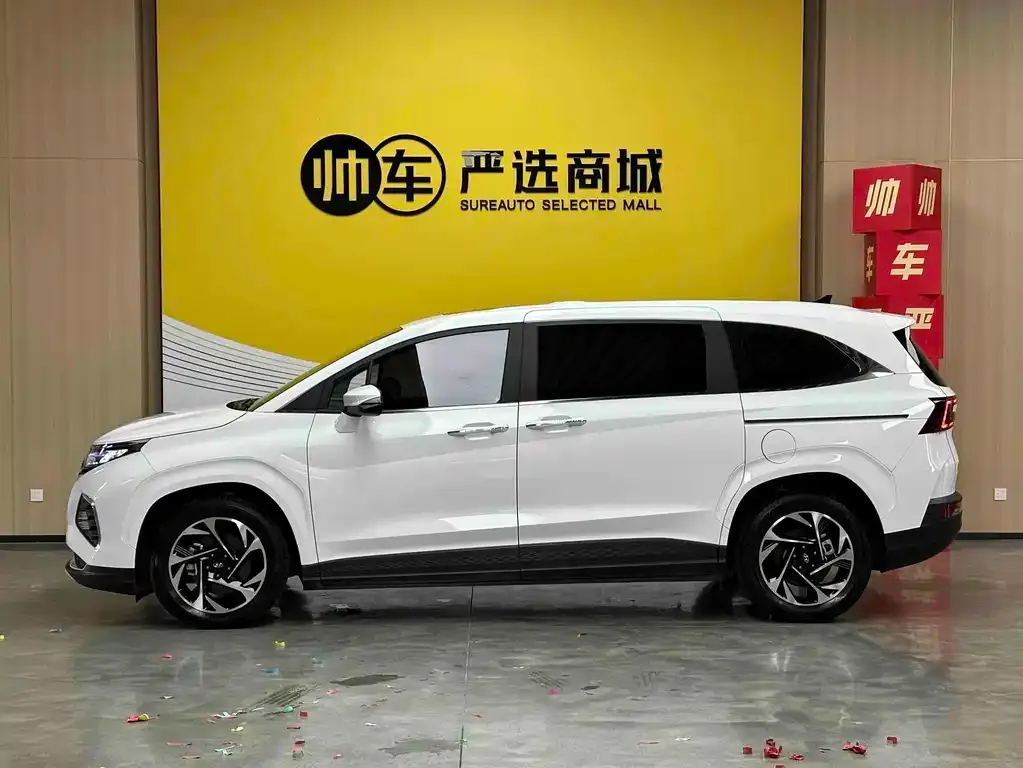 Hyundai Custo — фото 3