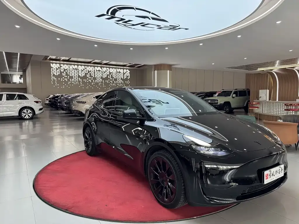 Tesla Model Y — фото 10