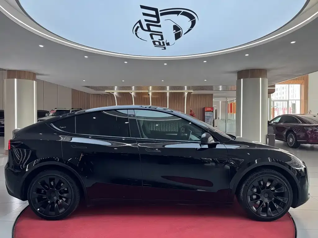 Tesla Model Y — фото 3