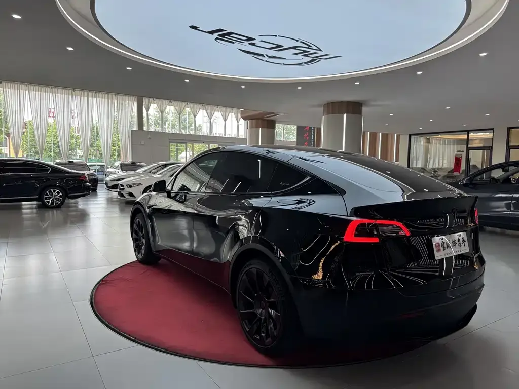 Tesla Model Y — фото 4