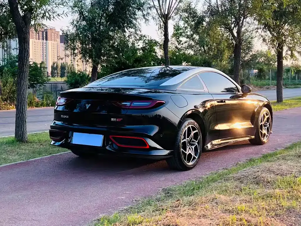Neta GT — фото 10