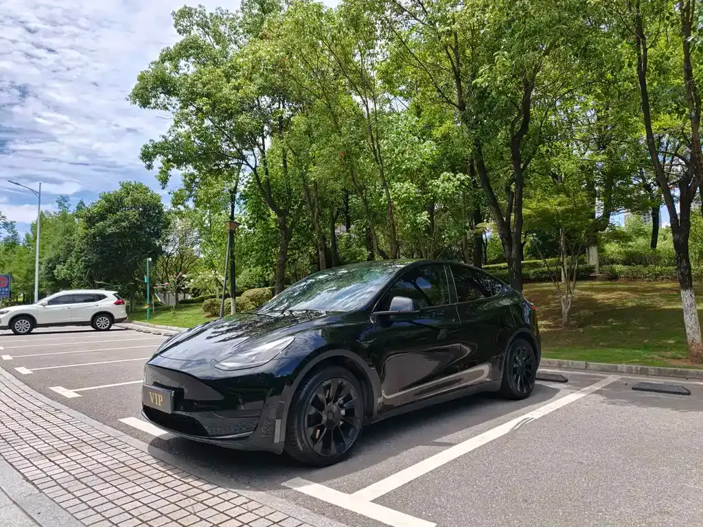 Tesla Model Y — фото 1