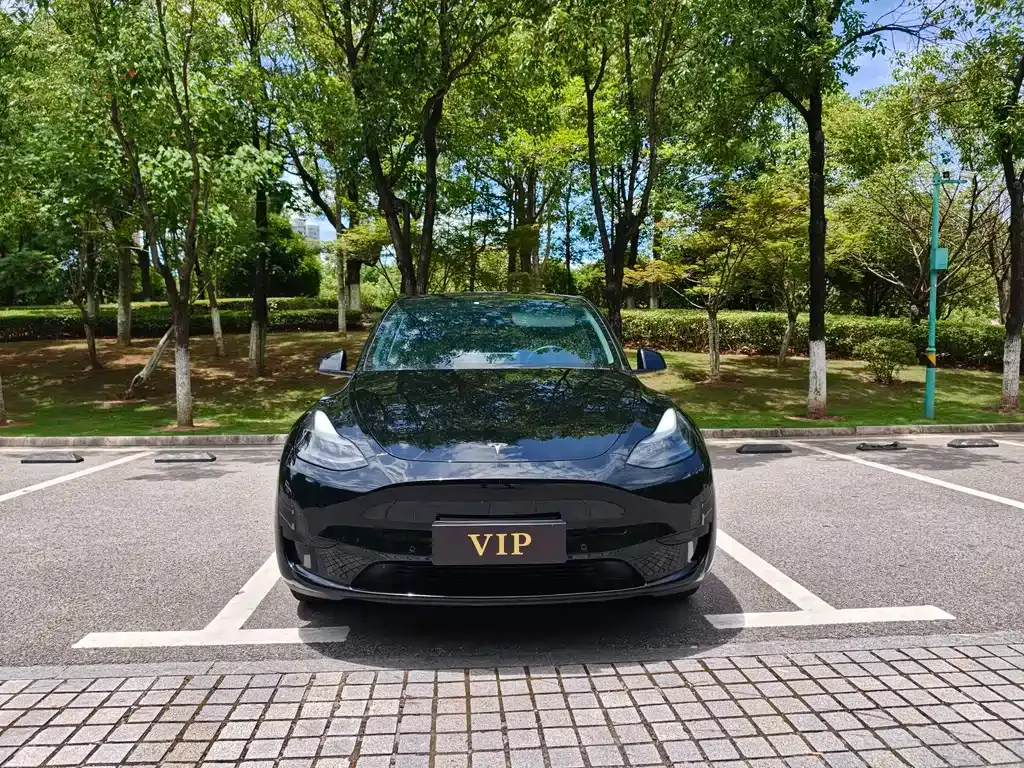 Tesla Model Y — фото 6