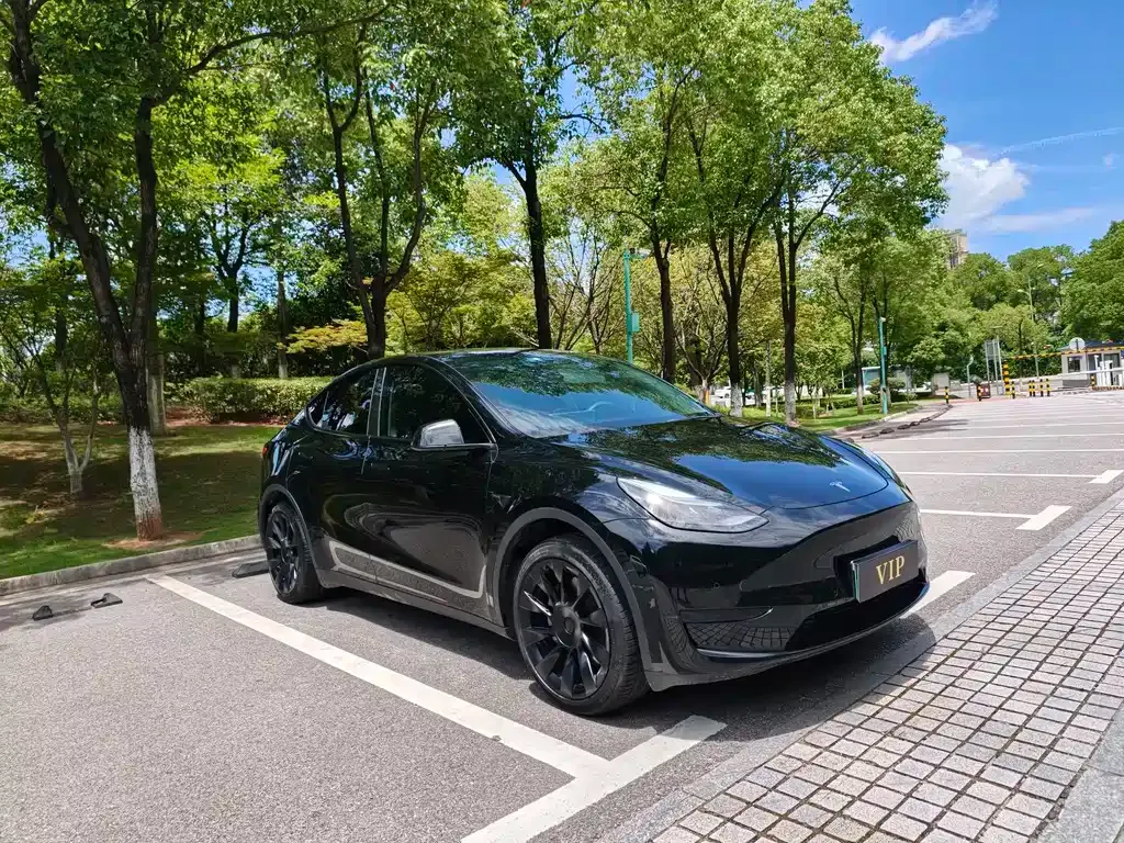Tesla Model Y — фото 8