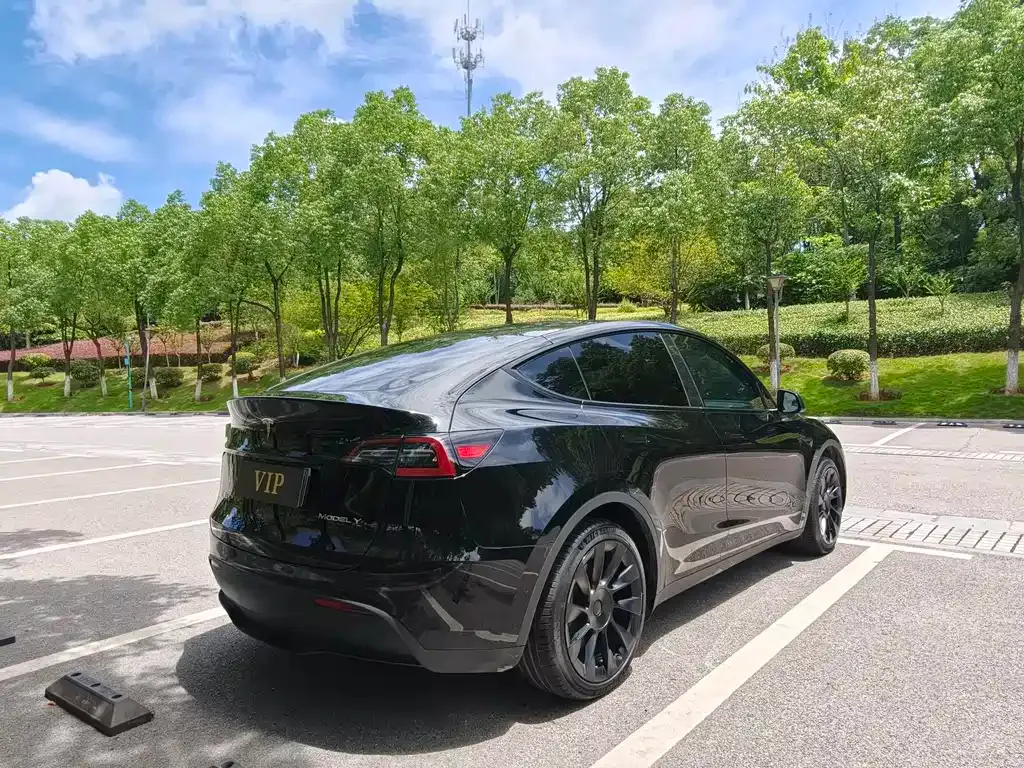 Tesla Model Y — фото 4