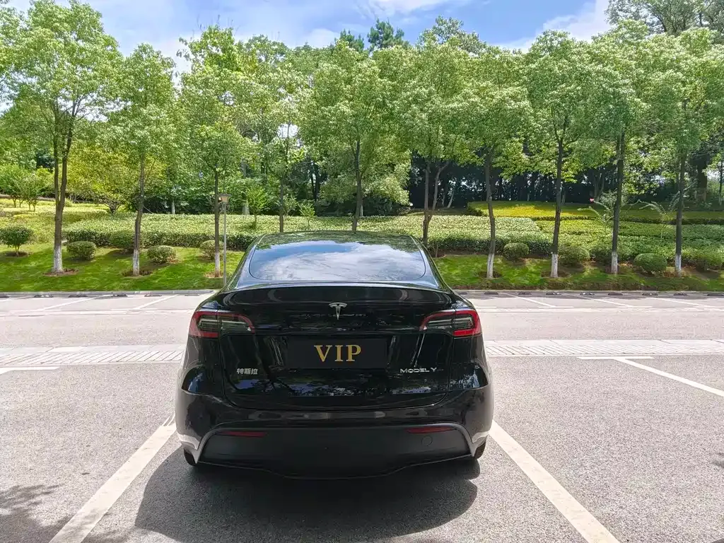 Tesla Model Y — фото 9