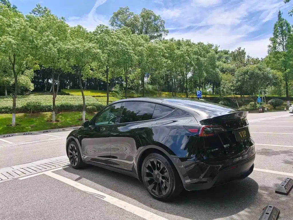 Tesla Model Y — фото 5