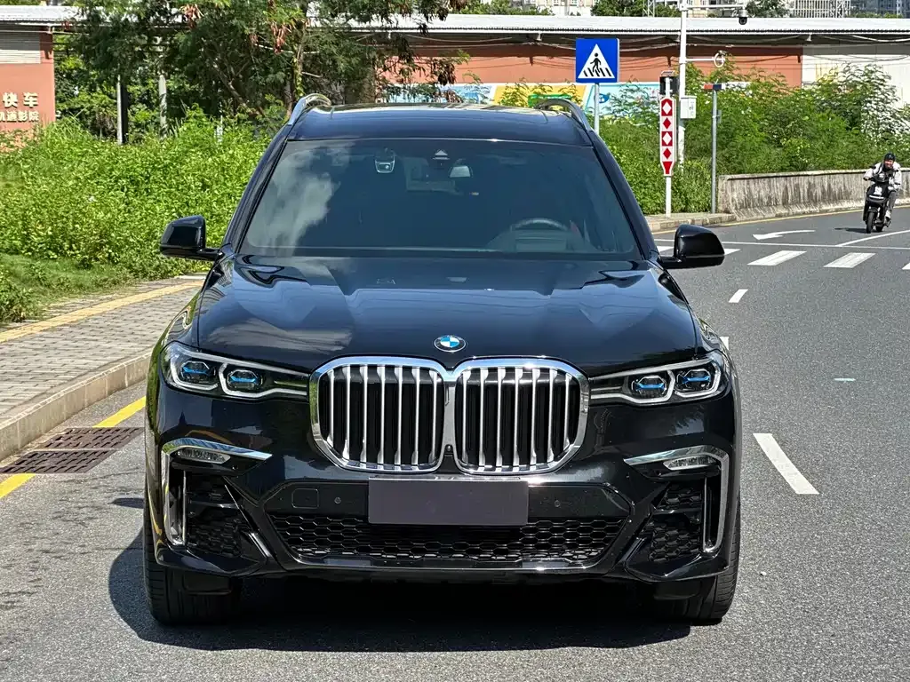 BMW X7 — фото 8