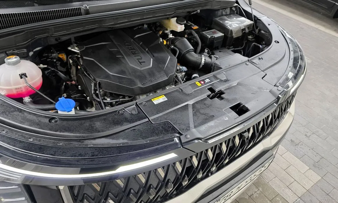Kia Carnival — фото 10