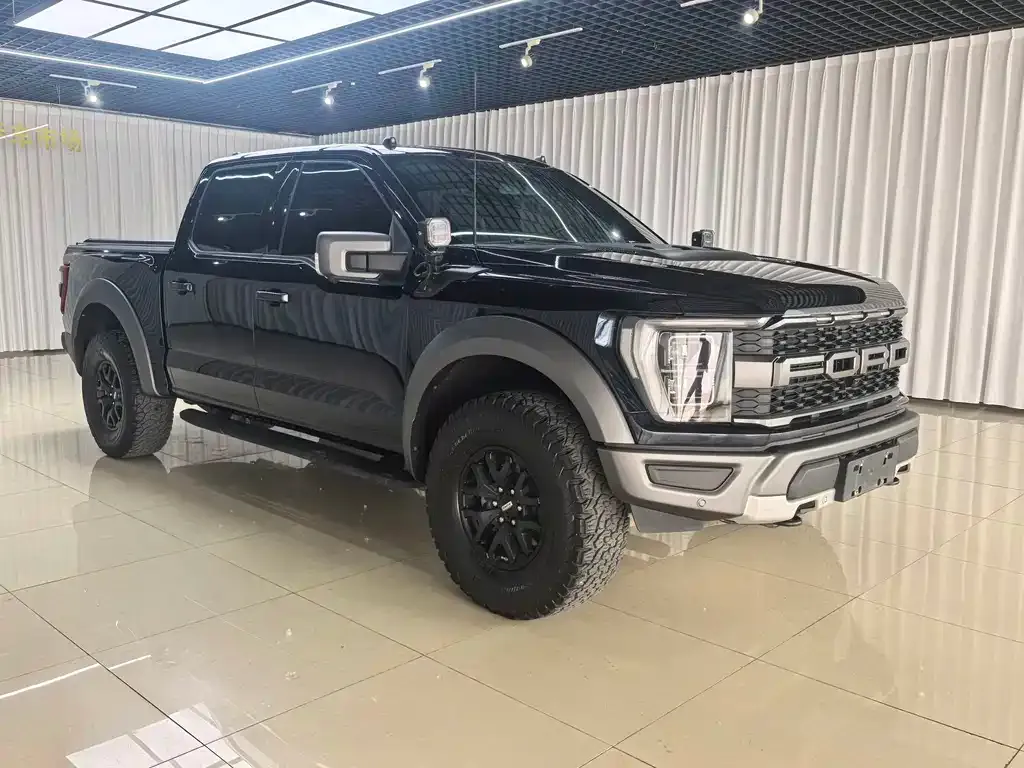 Ford F-150 Raptor — фото 8