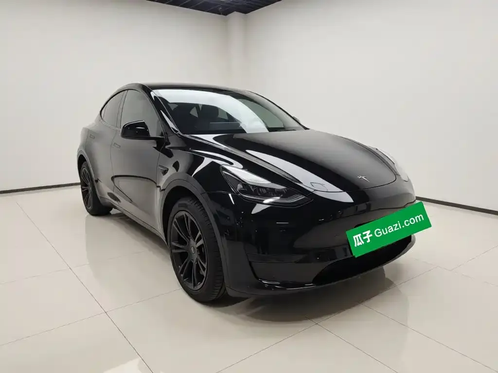 Tesla Model Y — фото 8