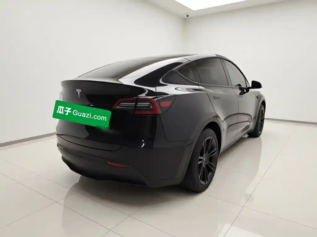 Tesla Model Y — фото 5