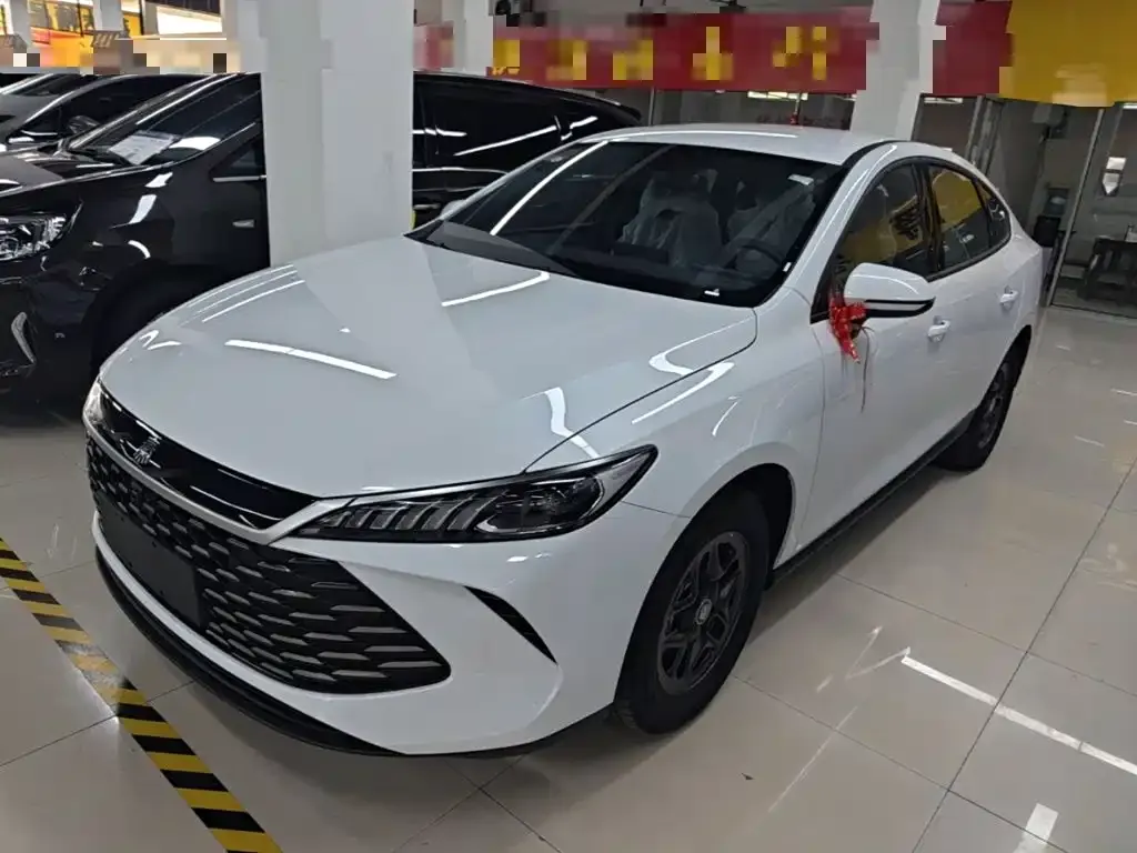 BYD Qin PLUS — фото 10