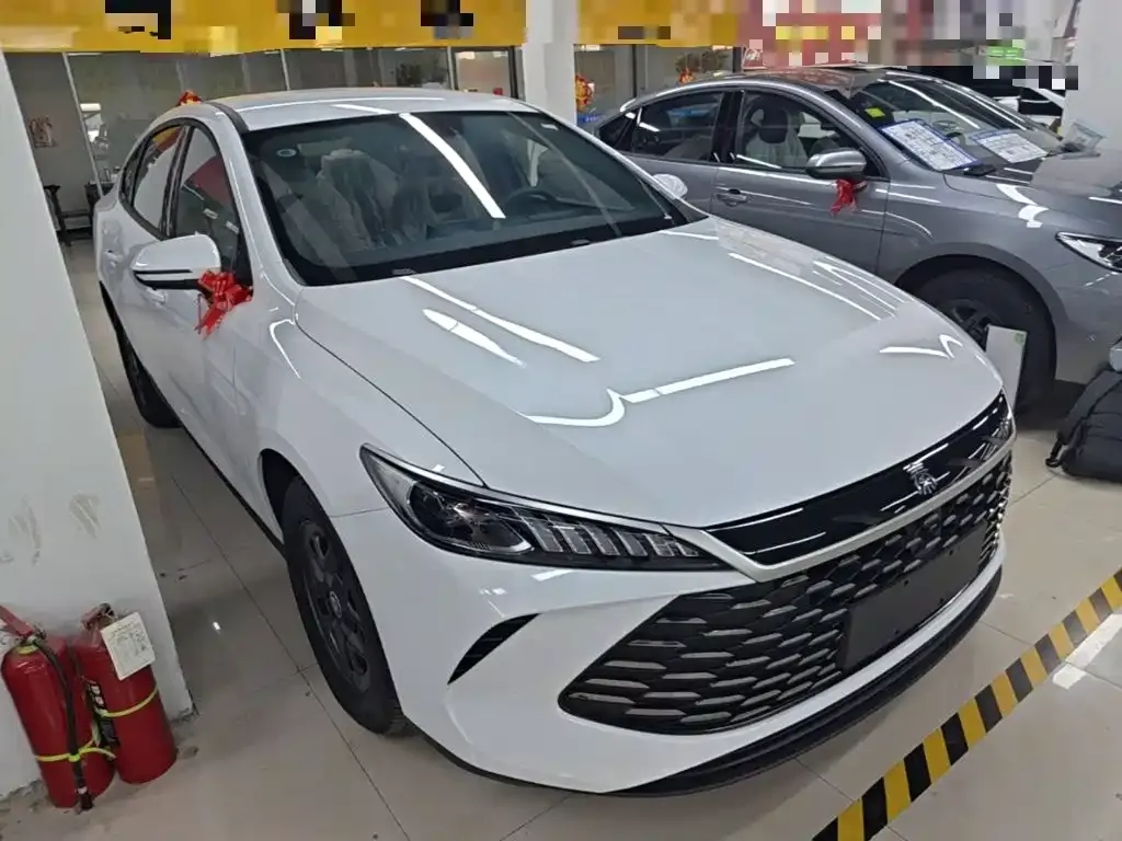 BYD Qin PLUS — фото 8