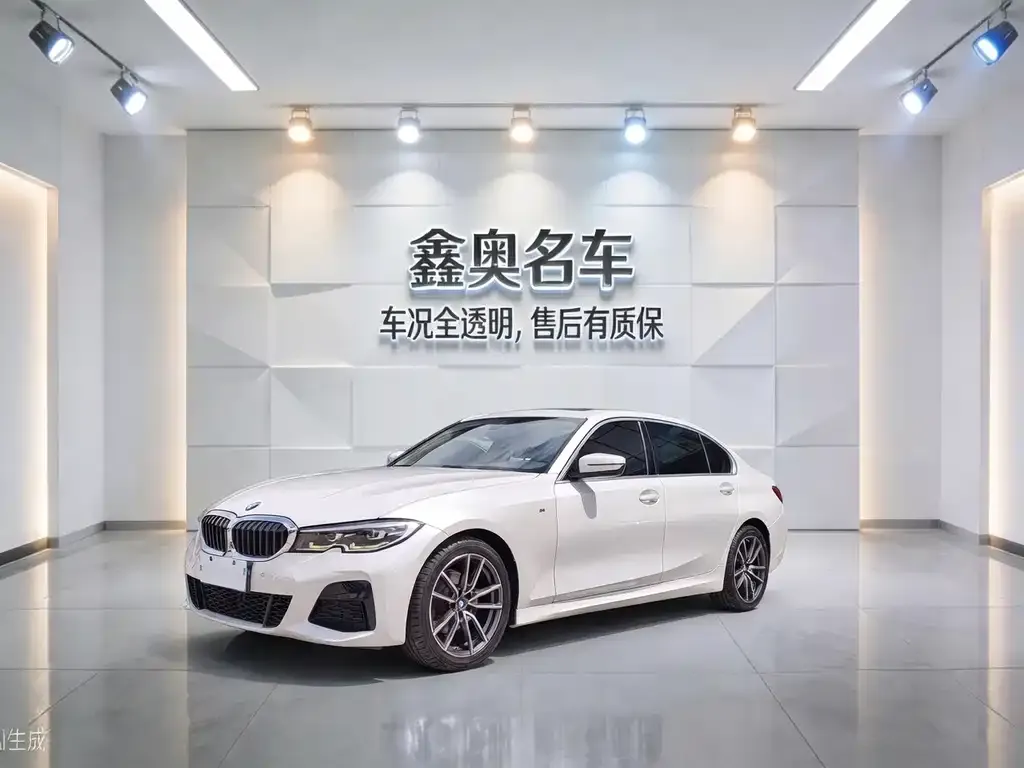 BMW 3 Series — фото 1