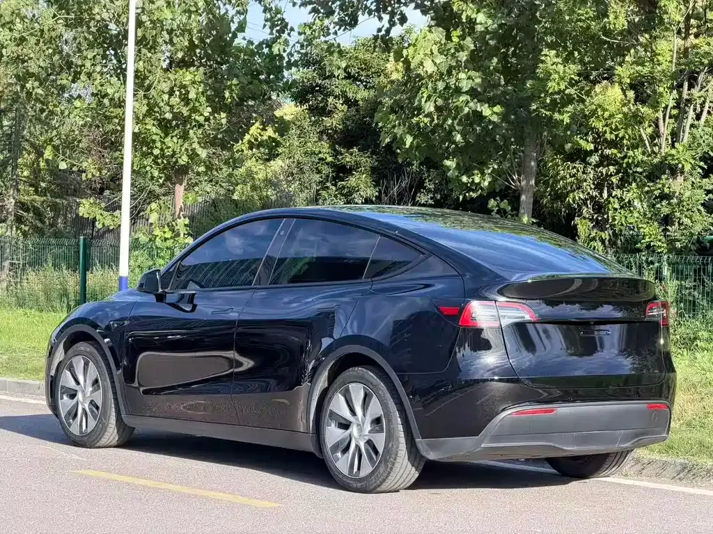 Tesla Model Y — фото 10