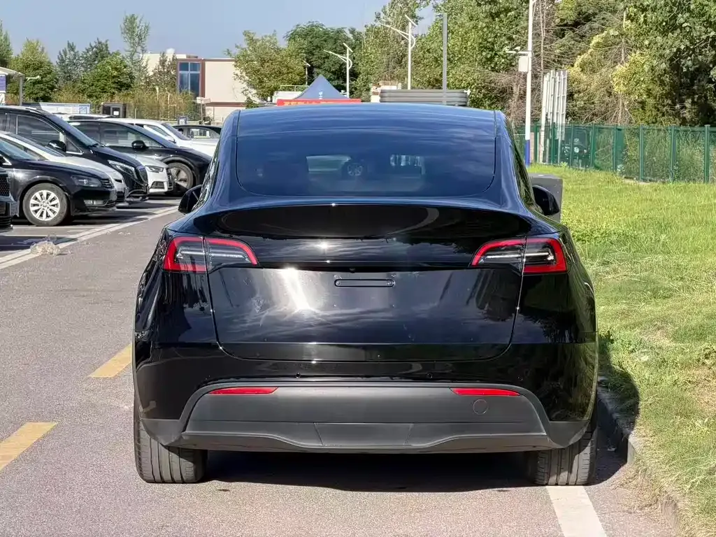 Tesla Model Y — фото 5
