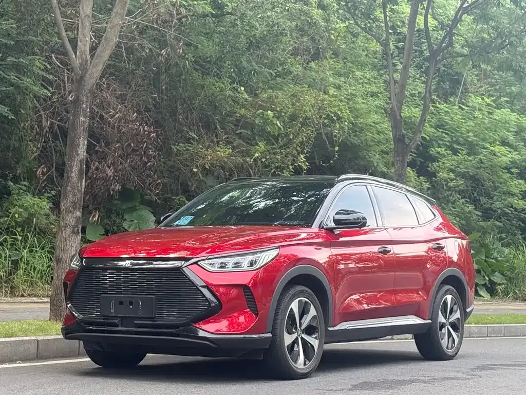 BYD PLUS New Energy — фото 1