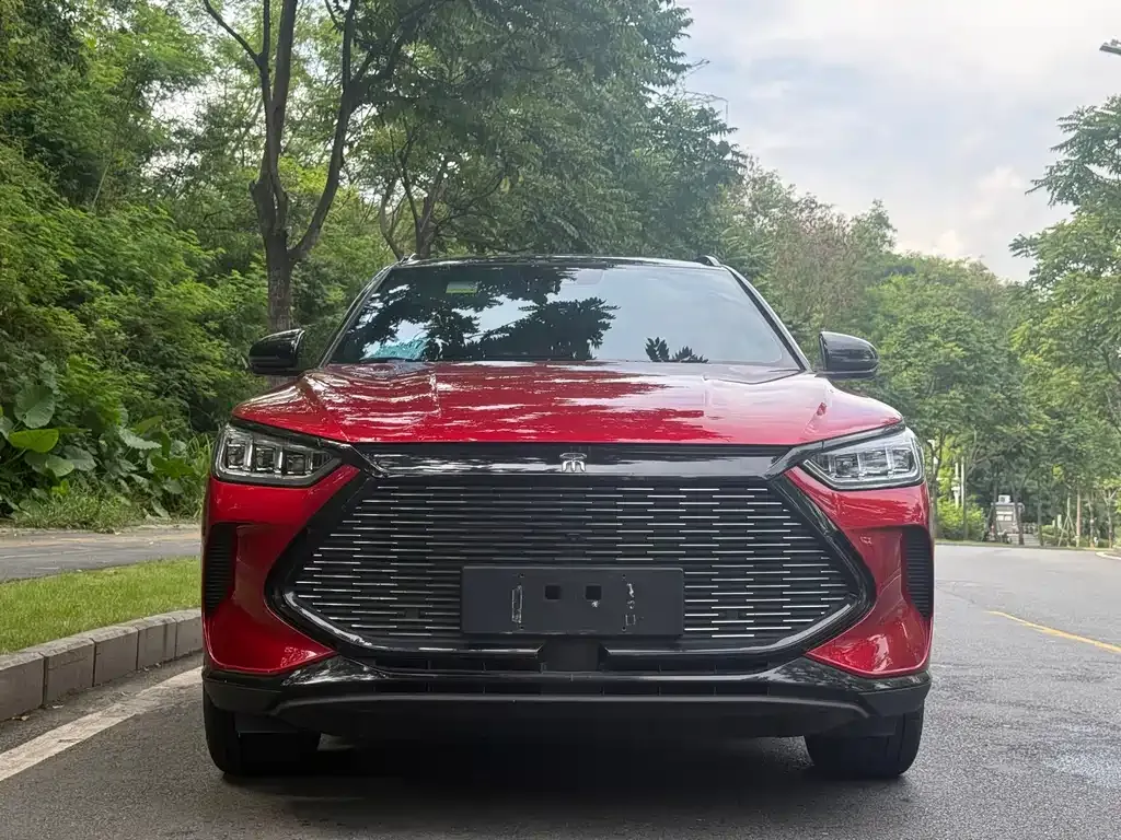 BYD PLUS New Energy — фото 2