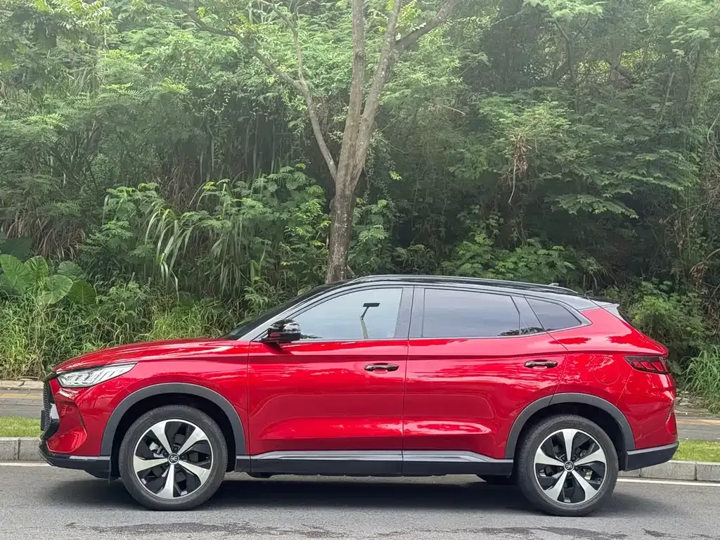 BYD PLUS New Energy — фото 3