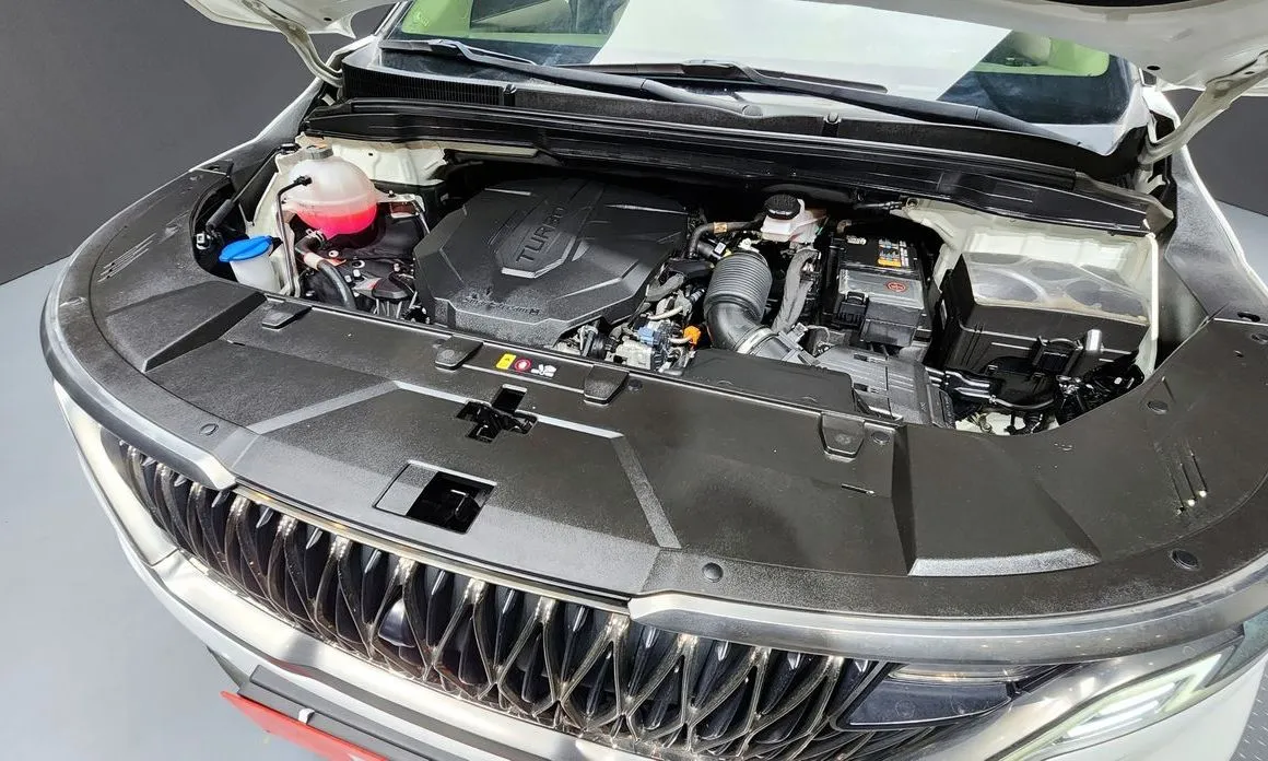 Kia Carnival — фото 10