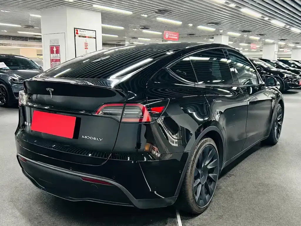 Tesla Model Y — фото 8