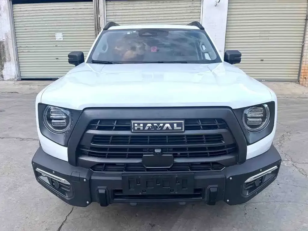 Haval Big Dog — фото 7