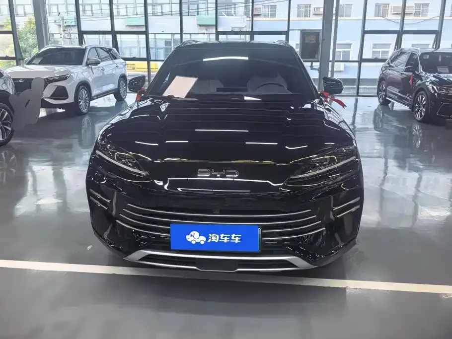 BYD PLUS New Energy — фото 8