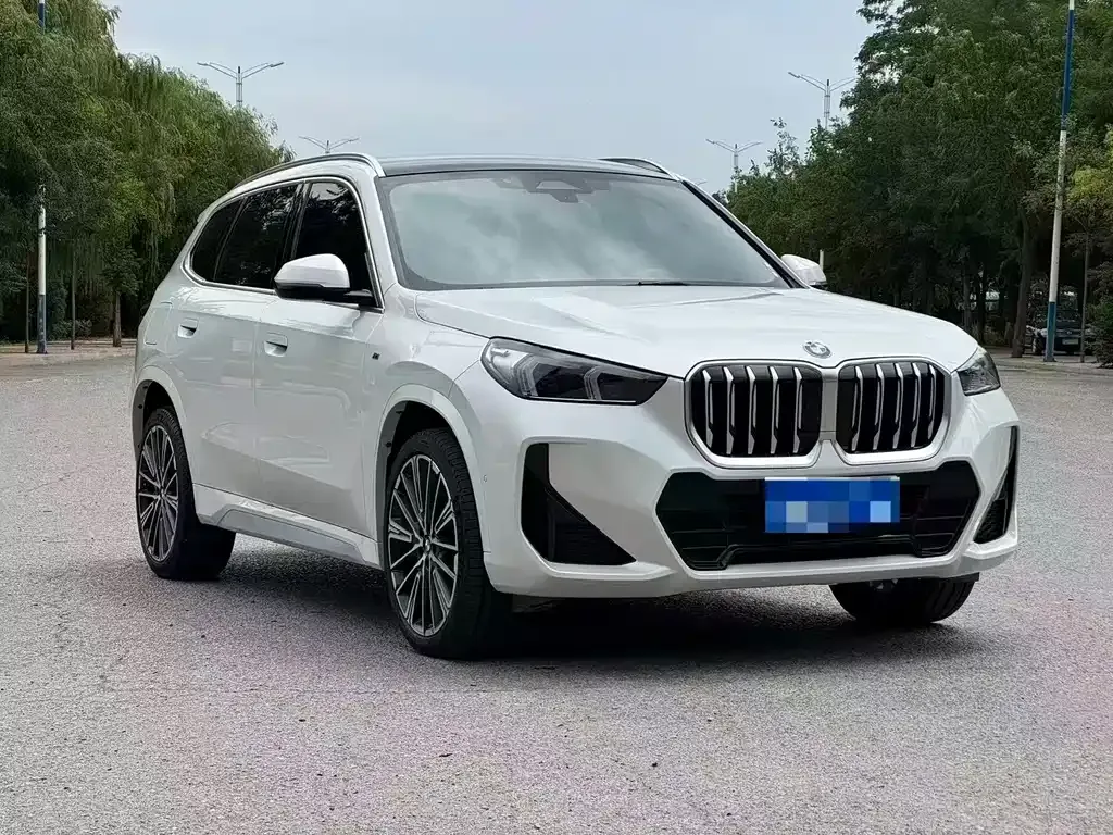 BMW X1 — фото 1