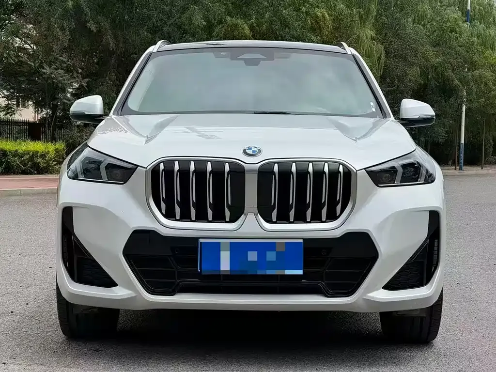BMW X1 — фото 9