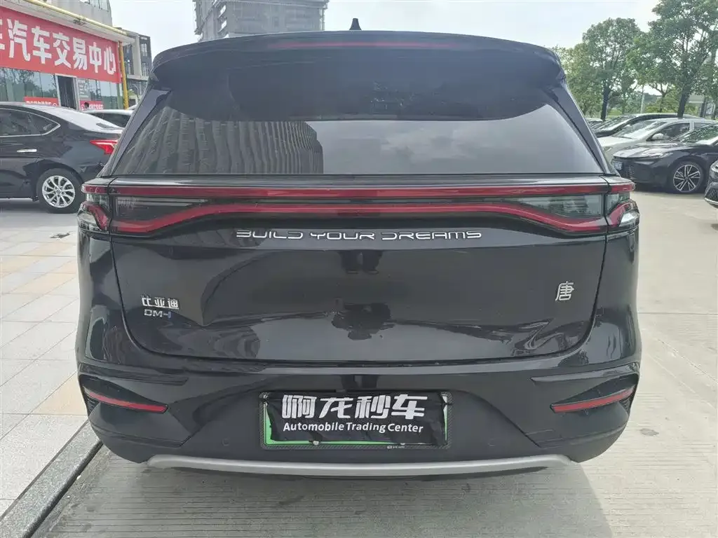 BYD Tang New Energy — фото 5