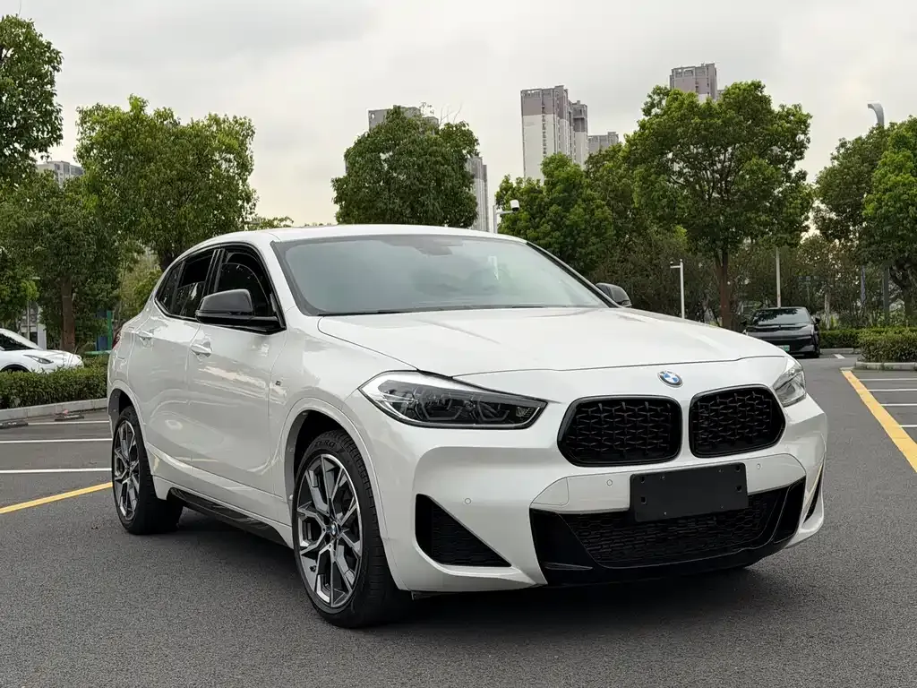 BMW X2 — фото 1